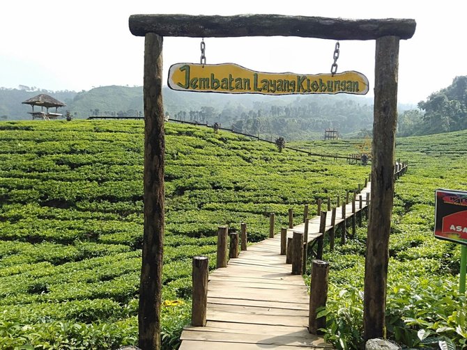 Wisata Alam dan Budaya Unik yang Bisa Dikunjungi di Jember
