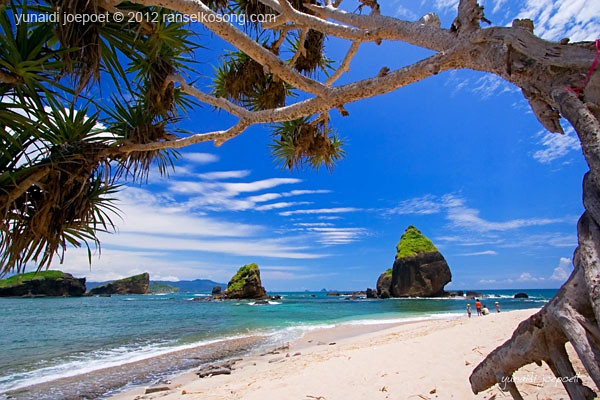 Pantai Tanjung Papuma