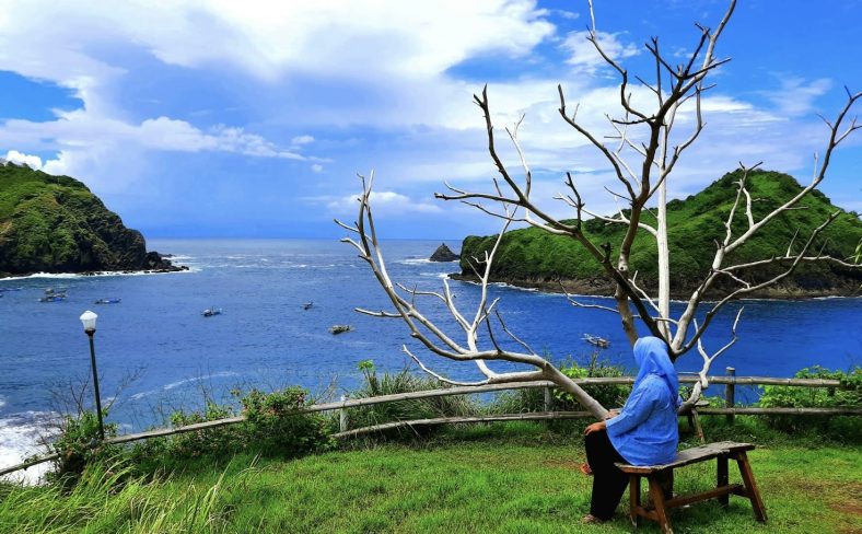 Wisata Bukit Samboja